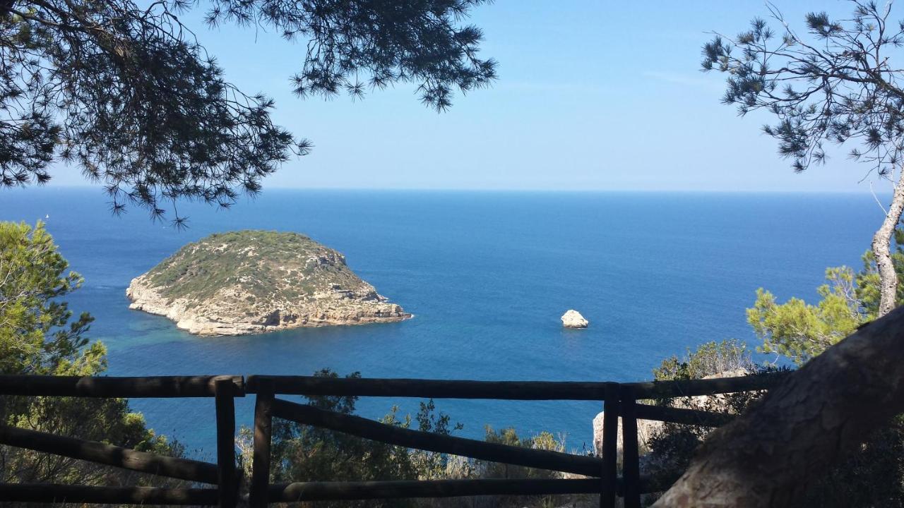 Javea Golden Beach 1 Arenal Beach Buitenkant foto